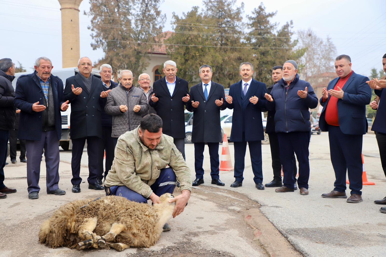 arac-filomuzu-guclendirmeye-devam-ediyoruz