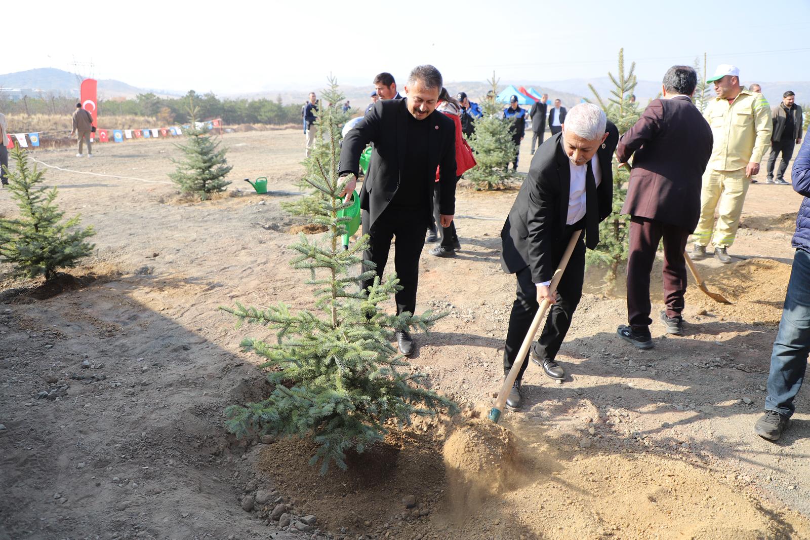 agaclandirma-gunu-kapsaminda-ilcemizi-yeni-fidanlarla-bulusturduk