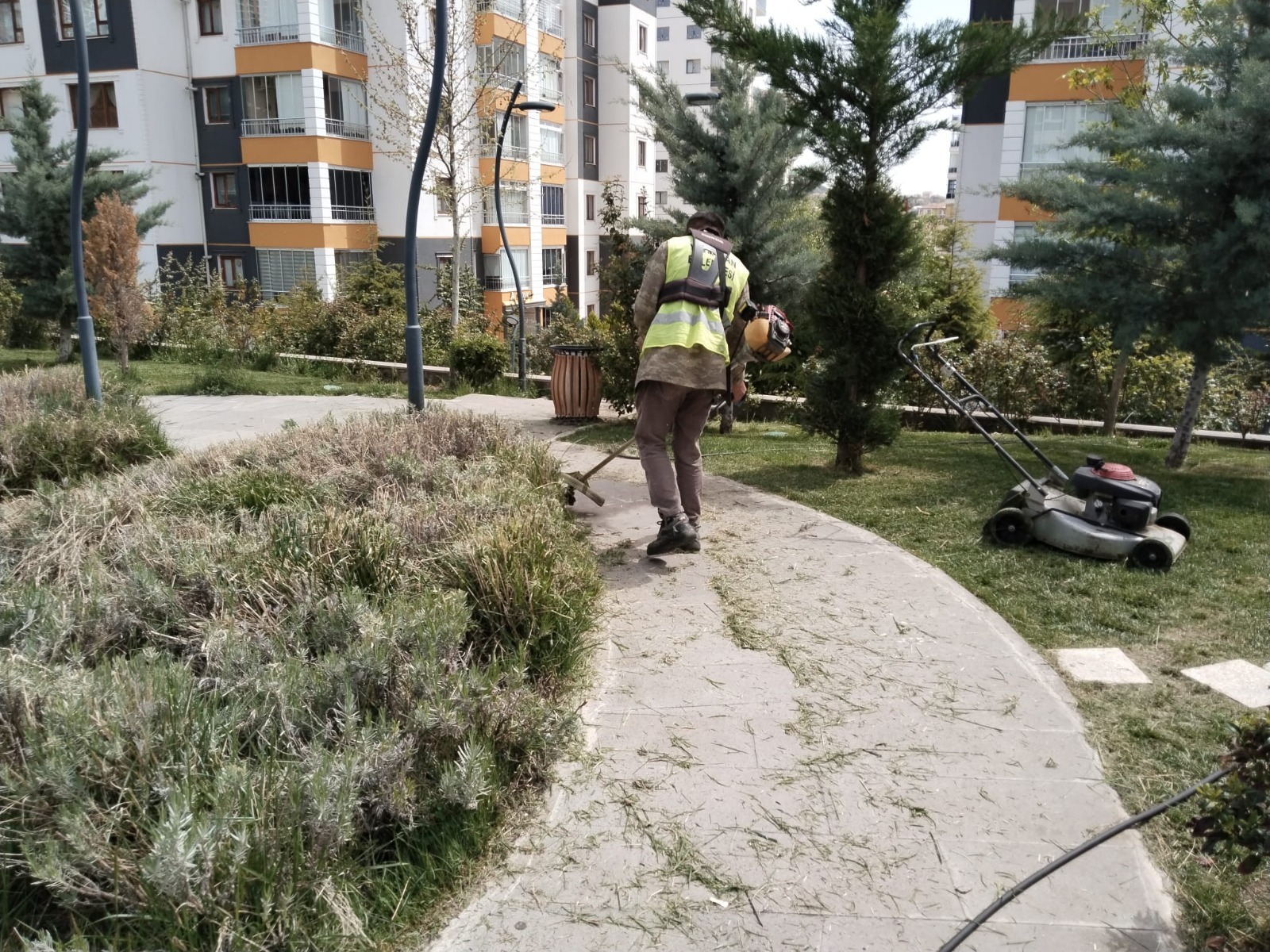 yemyes-l-b-r-yahs-han-c-n-calisiyoruz