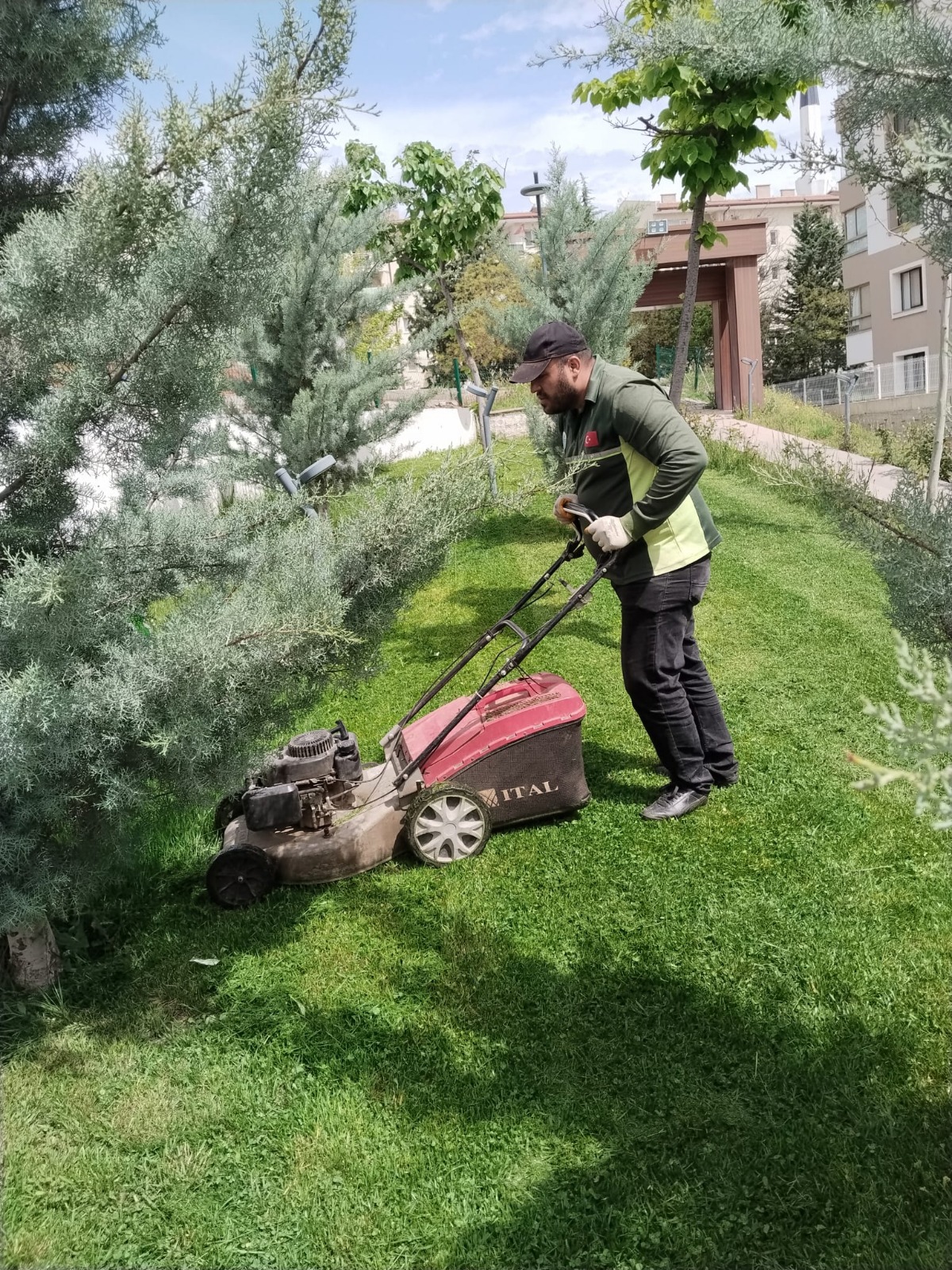 yemyes-l-b-r-yahs-han-c-n-calisiyoruz