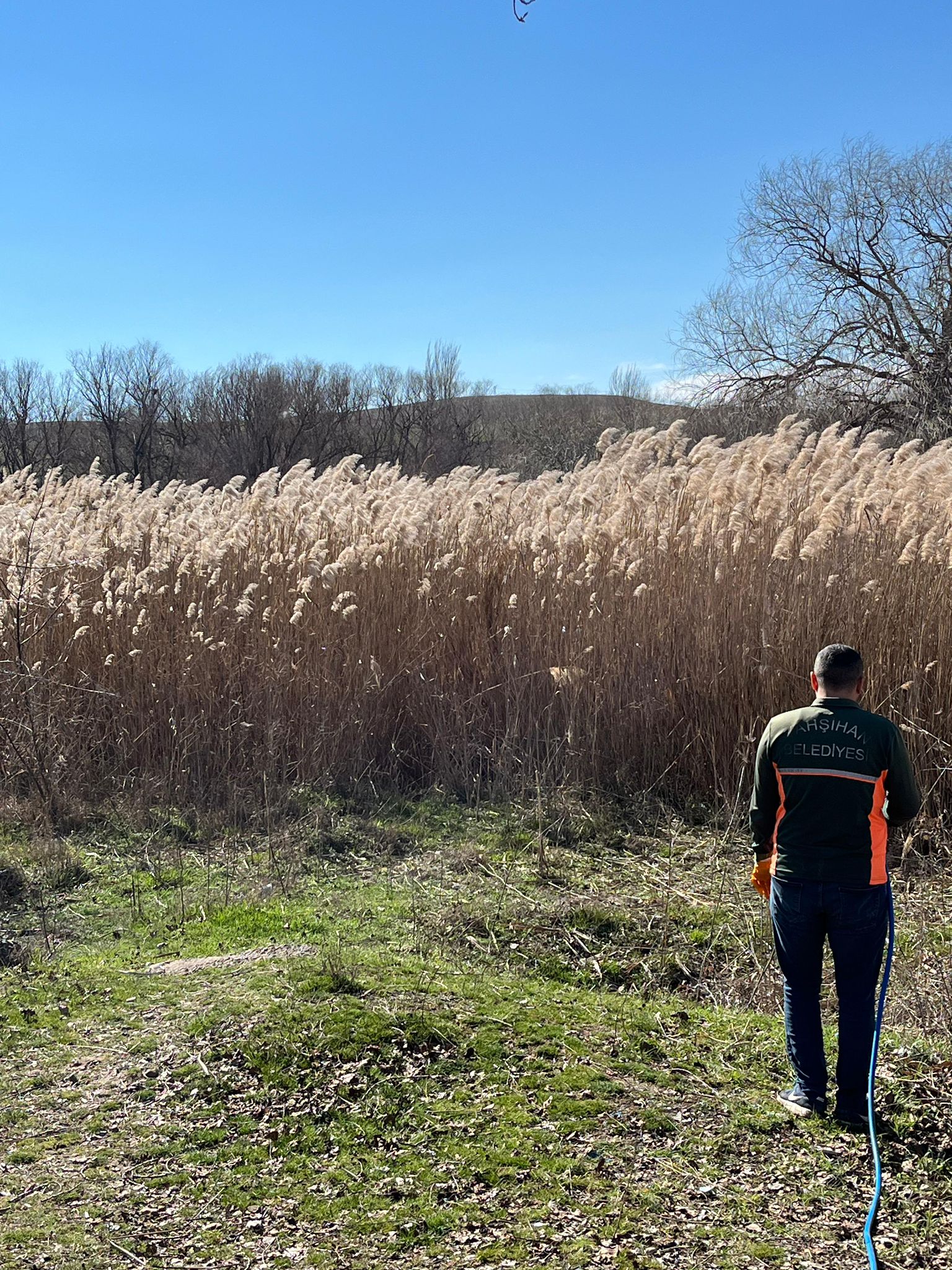 sivrisinek-ve-haserelere-karsi-onleyici-ilaclama-calismalarimiz-devam-ediyor