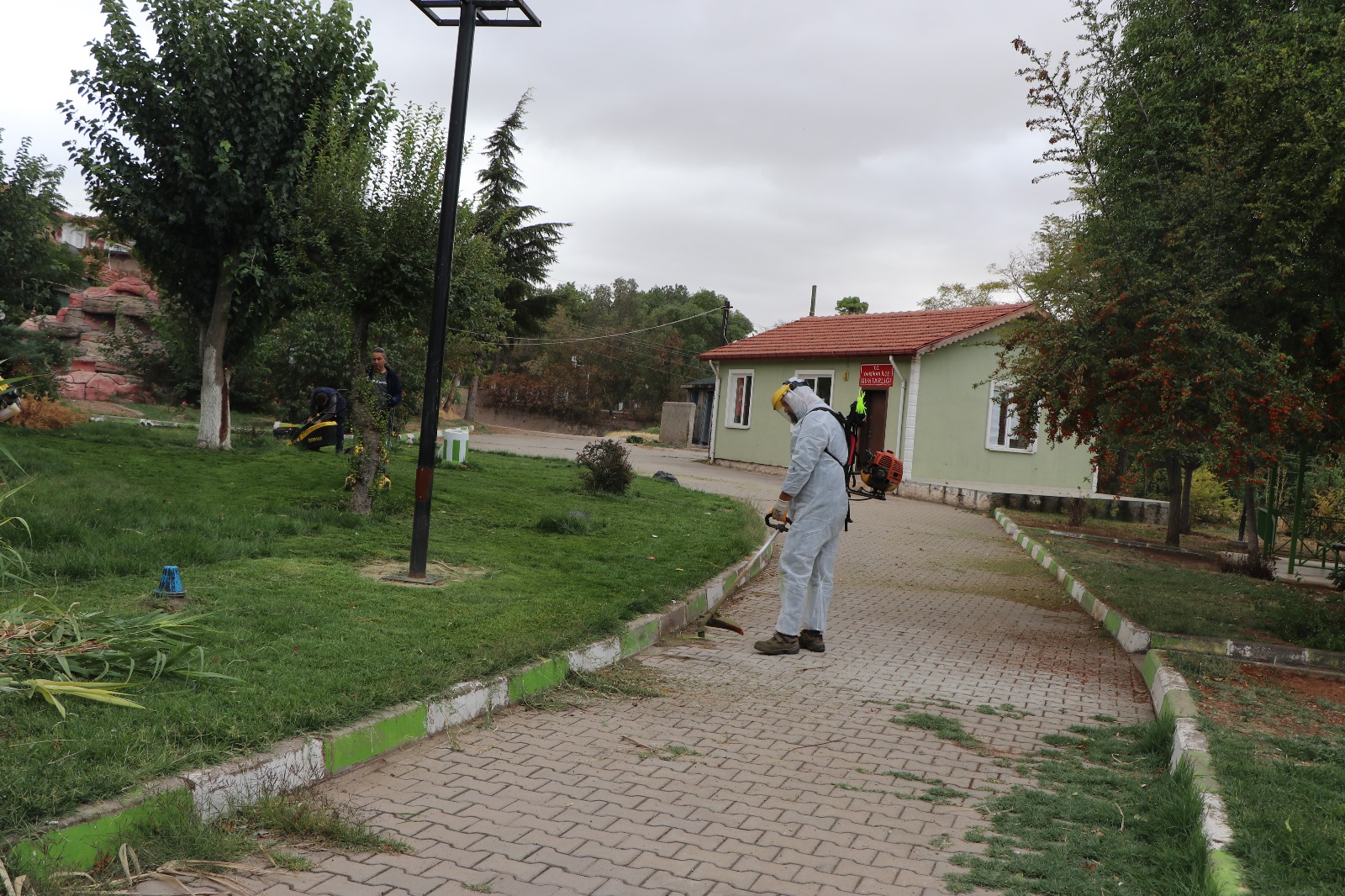 park-ve-bahceler-mudurlugu-ekiplerimiz-cim-bicme-calismalarini-surduruyor